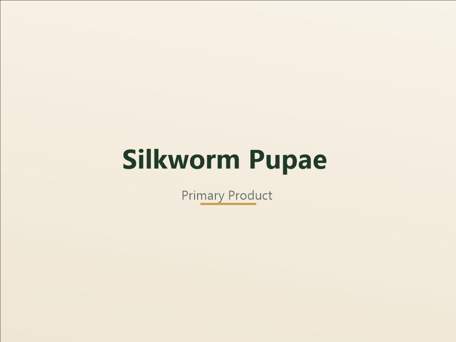 Silkworm pupae supplied in bulk